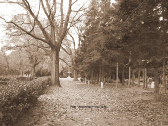 Algemene begraafplaats Wageningen